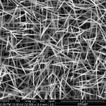 3 Foret de nanofils