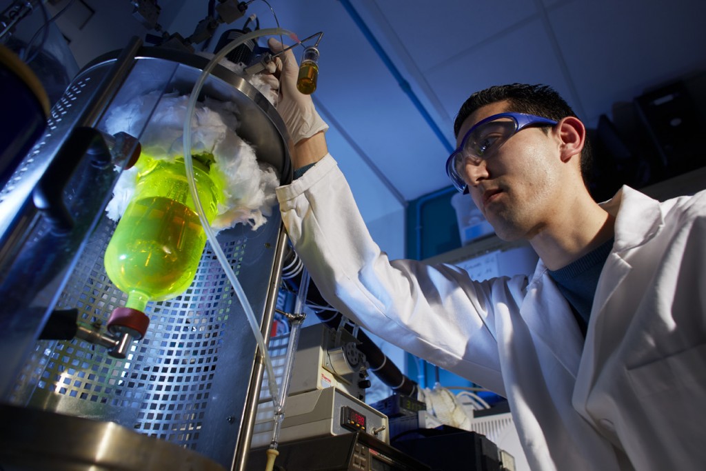 LMI_CEL_THERMOSTATEE-GC-01