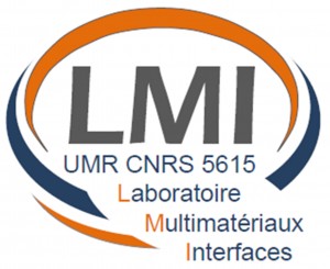 logo_LMI_GD_JPG