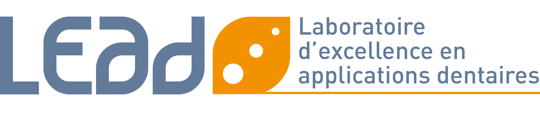 Logo_LEAD(1)