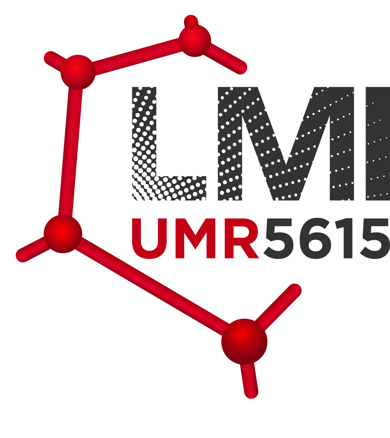 lmi-rev