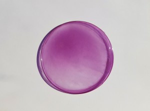 image BIOFILUX