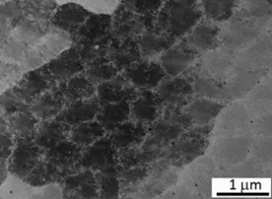 image ECCI d’une structure de dislocation dans un acier 316L. Extrait de M. Godec et al., Materials Characterization 160 (2020) 110074